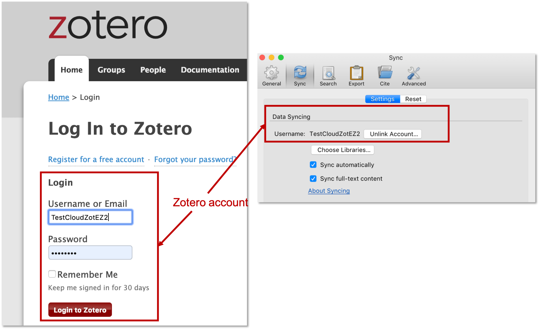 sync zotero